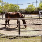 三木ホースランドパーク