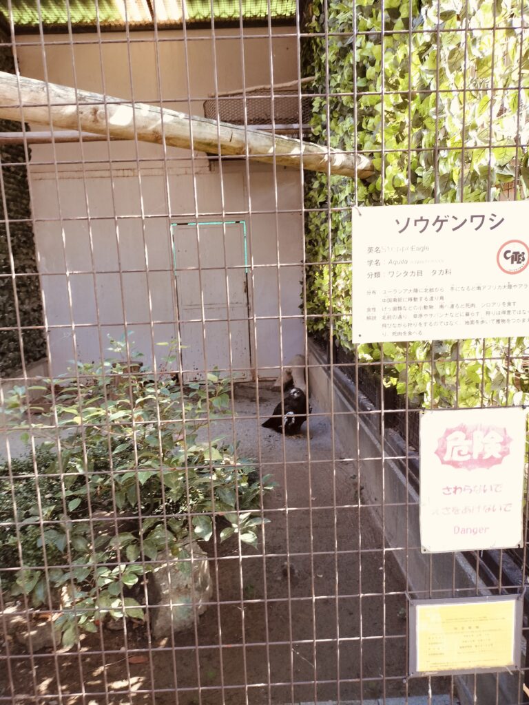姫路動物園