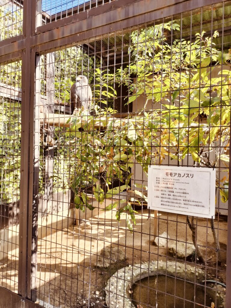 姫路動物園