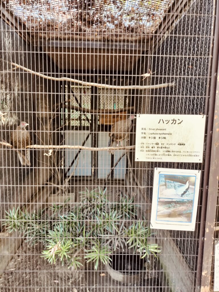 姫路動物園