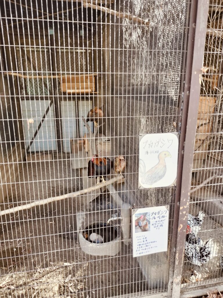 姫路動物園