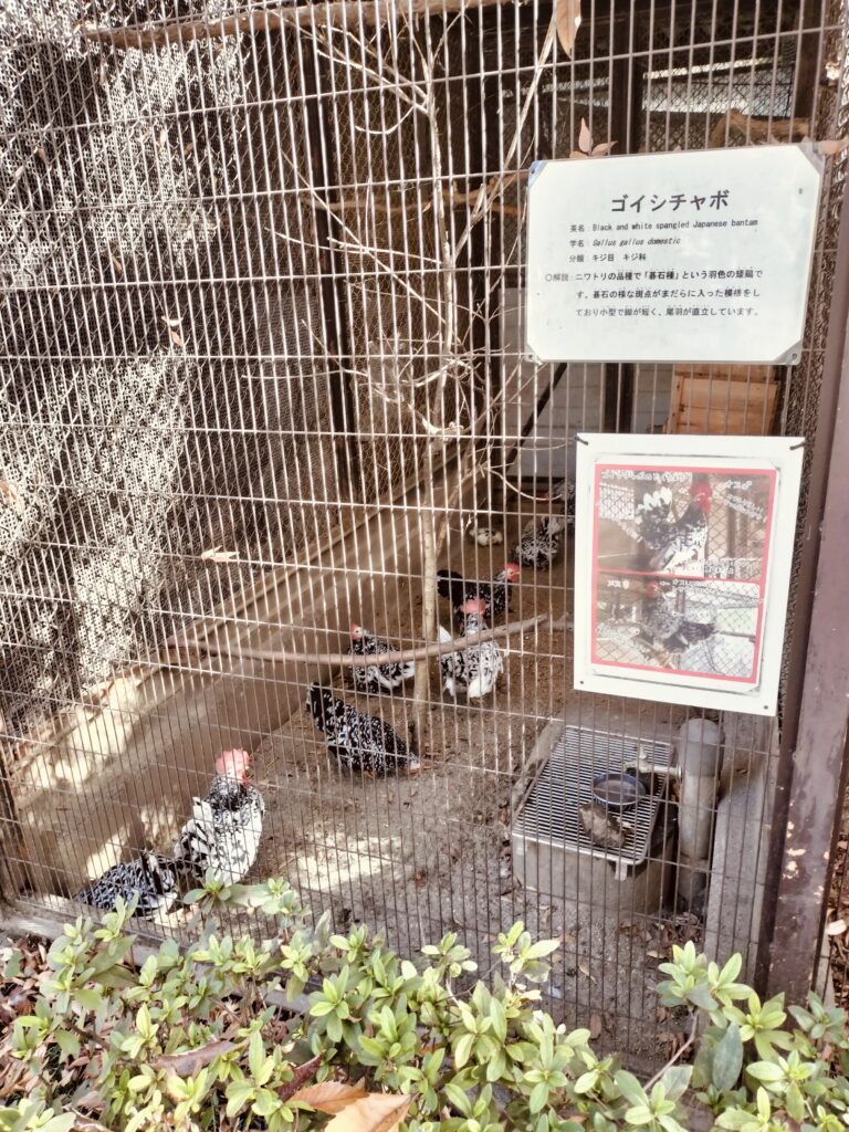 姫路動物園