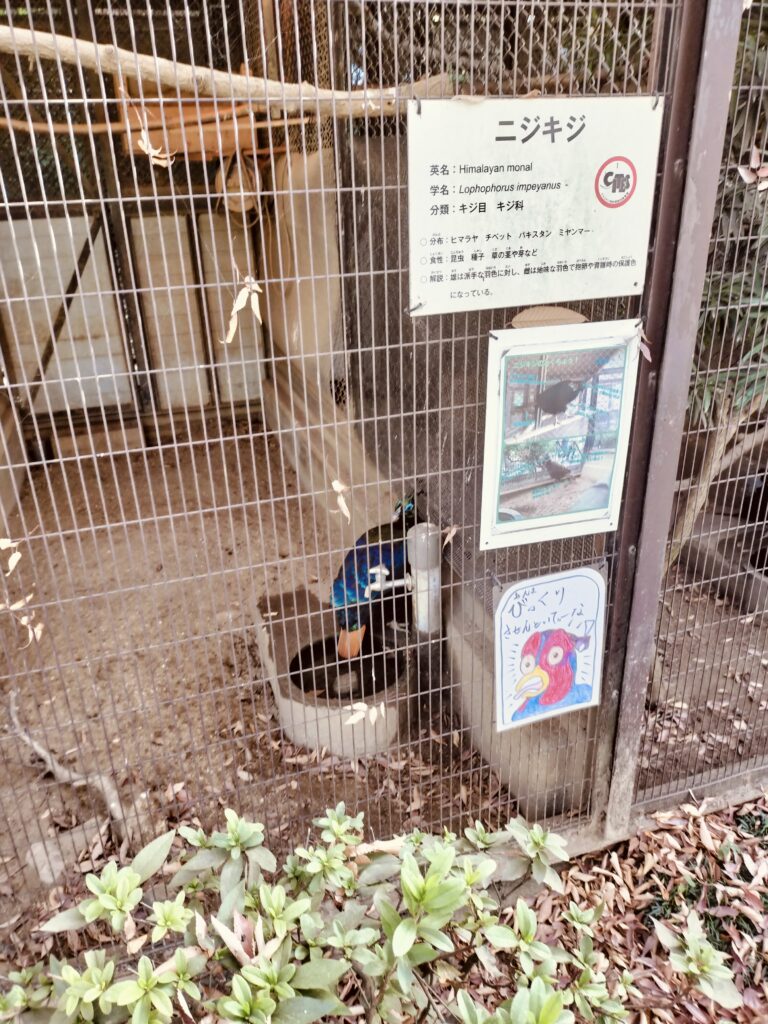 姫路動物園