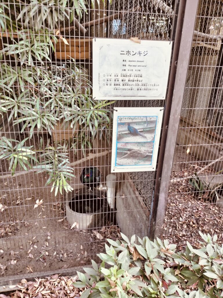 姫路動物園