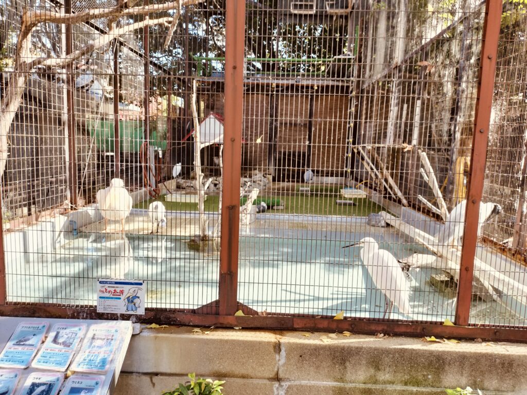 姫路動物園