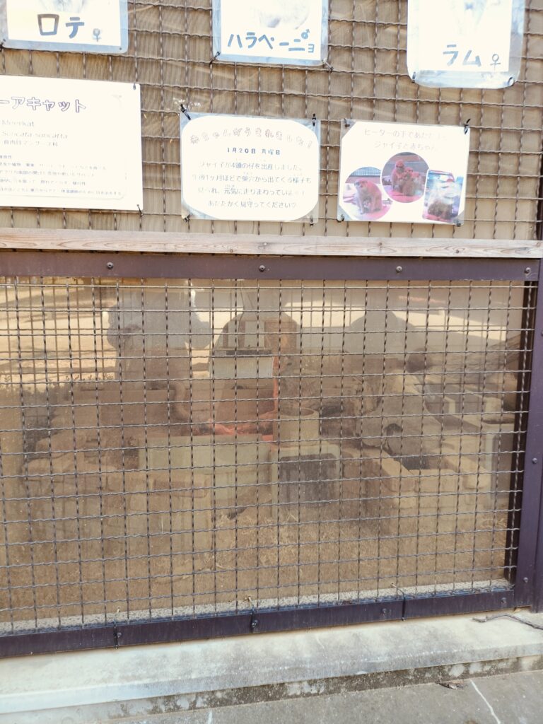 姫路動物園