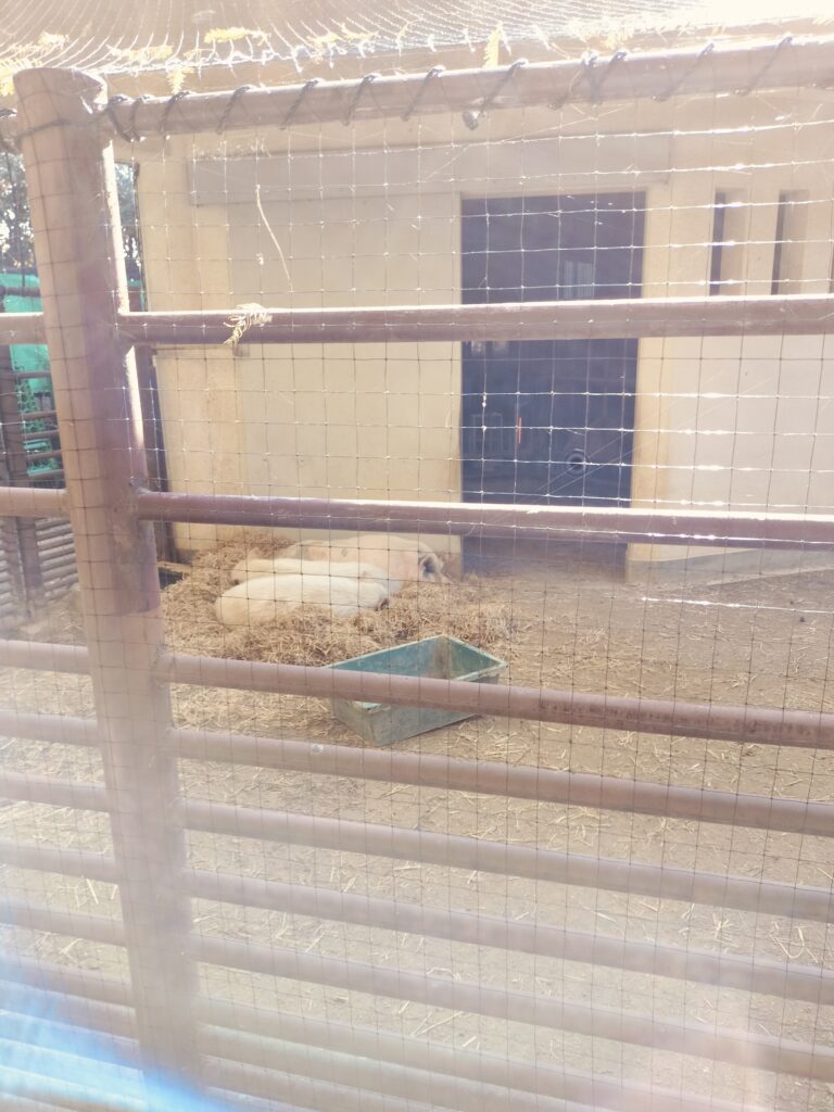 姫路動物園