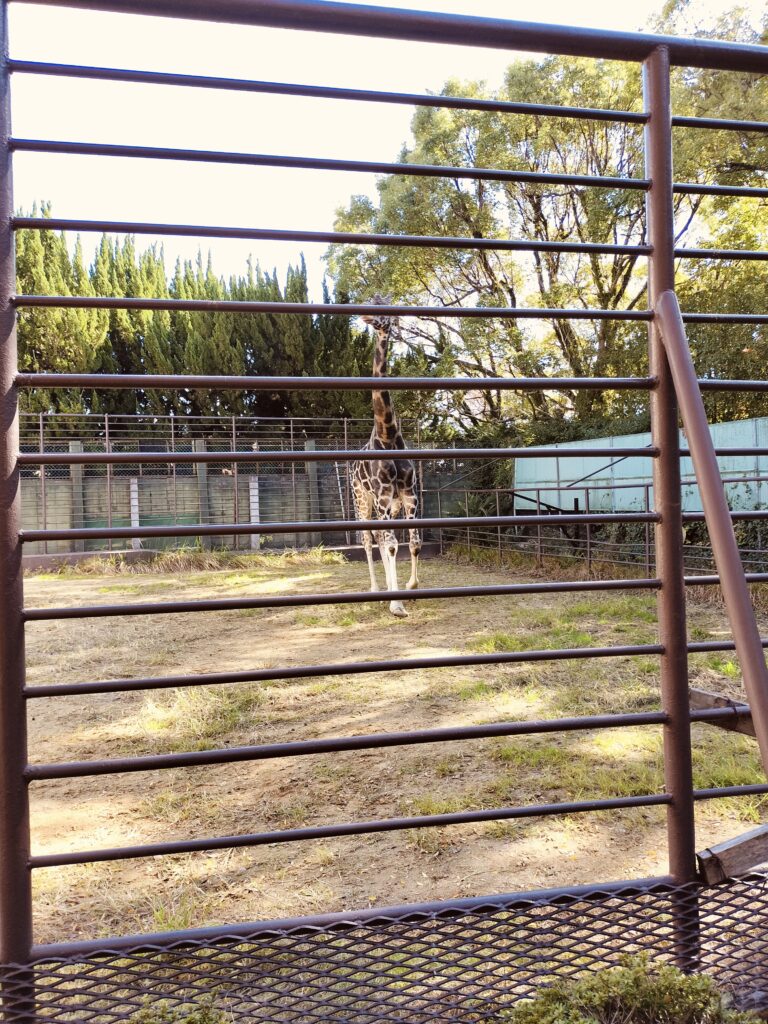 姫路動物園
