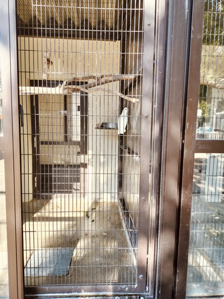 姫路動物園