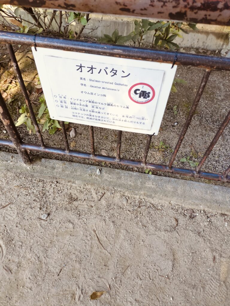 姫路動物園