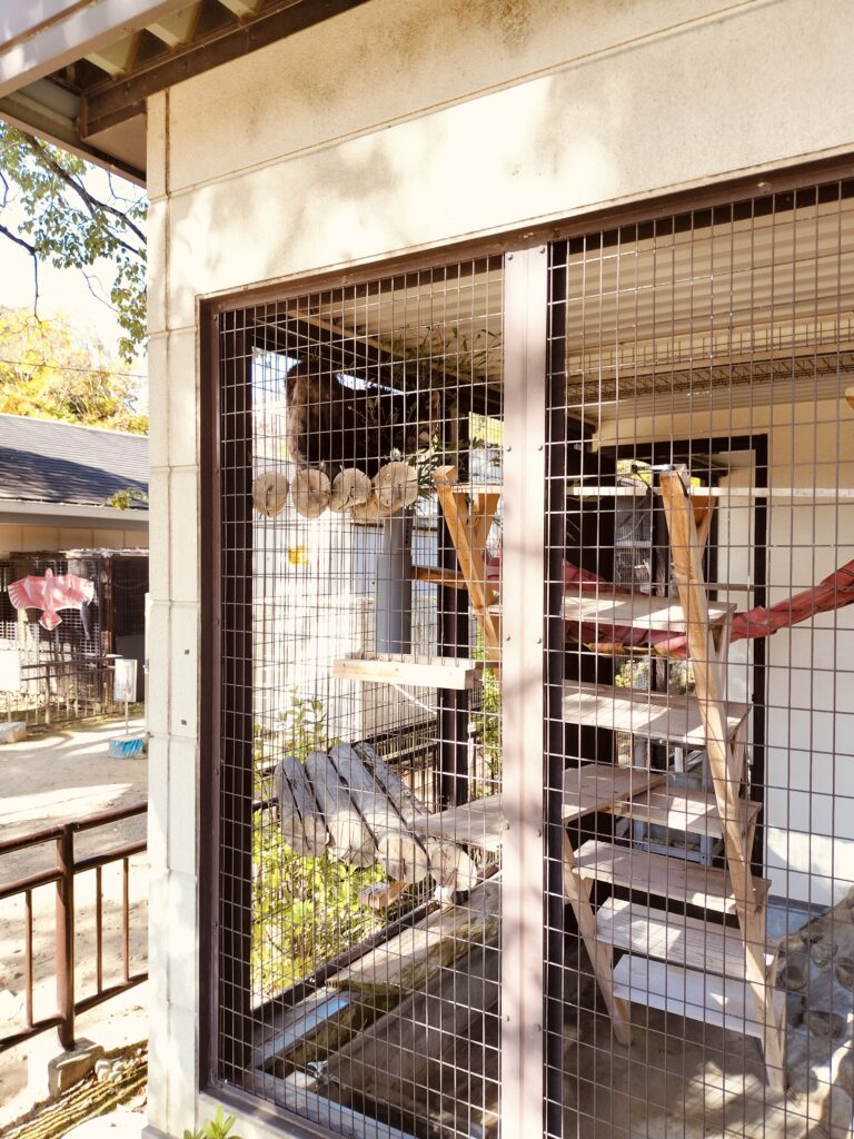 姫路動物園