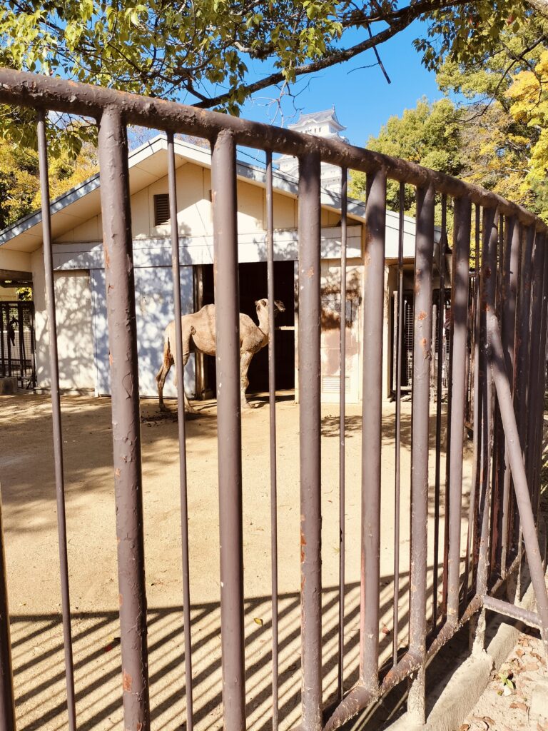 姫路動物園