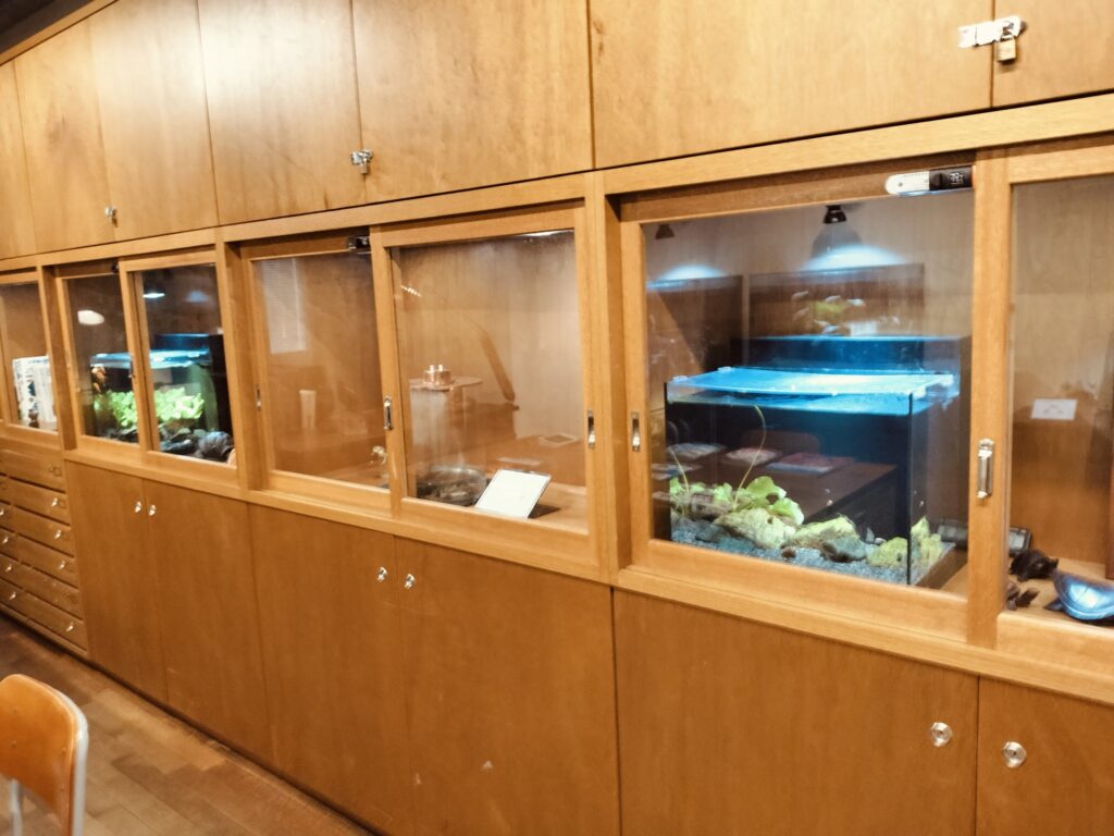 みなとやま水族館