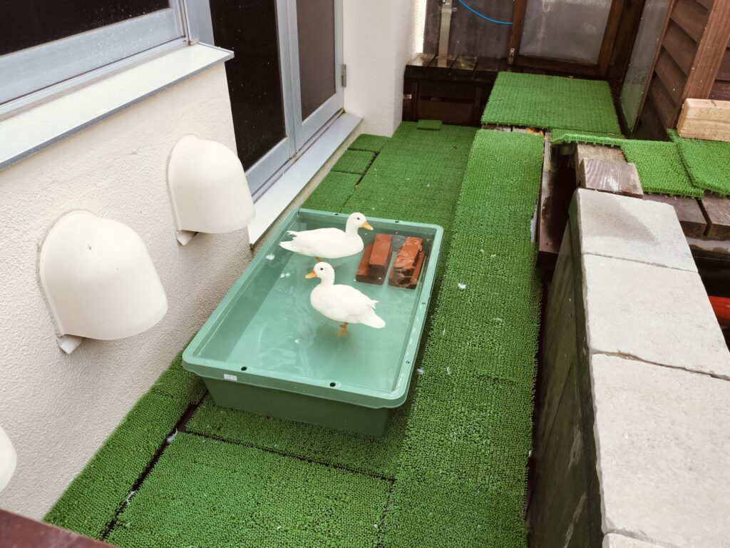 みなとやま水族館