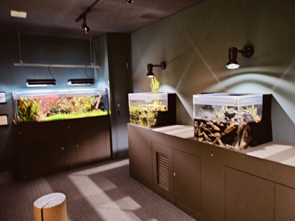 みなとやま水族館