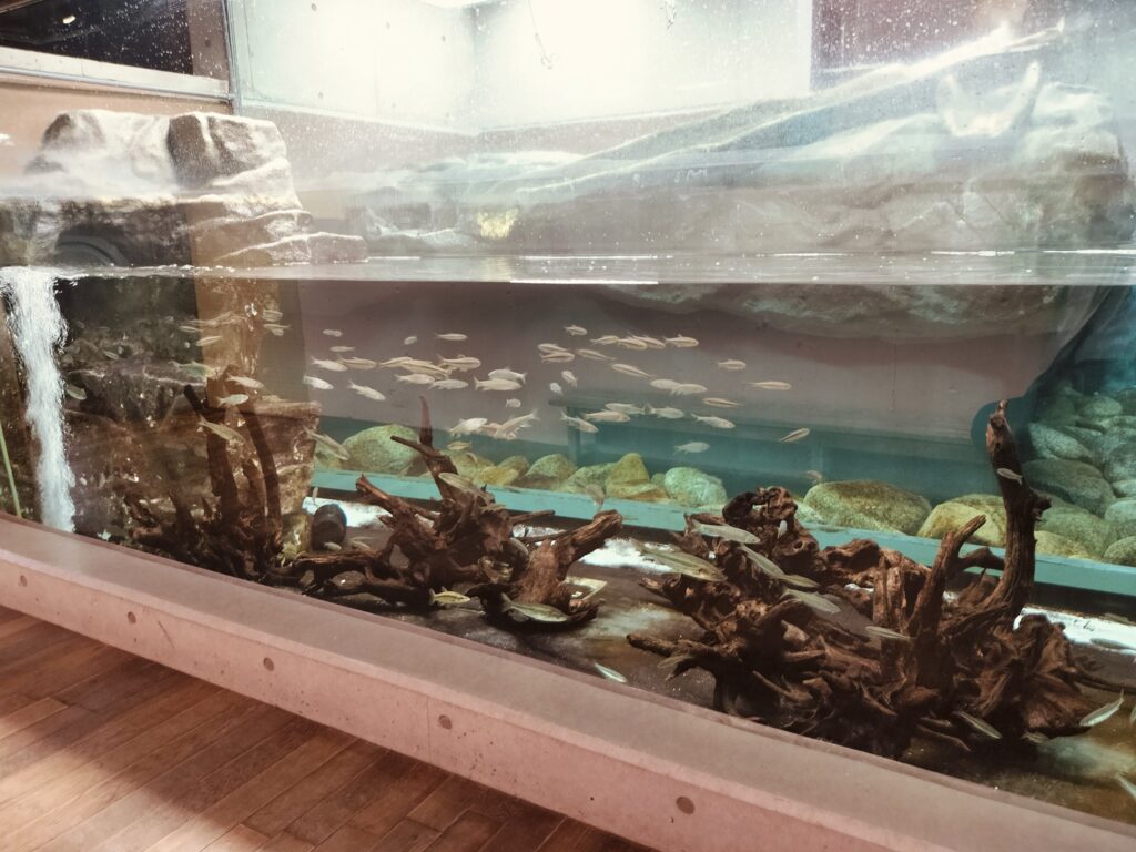 みなとやま水族館