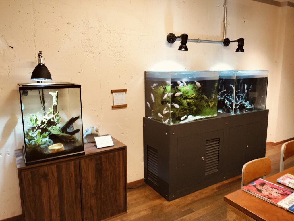 みなとやま水族館