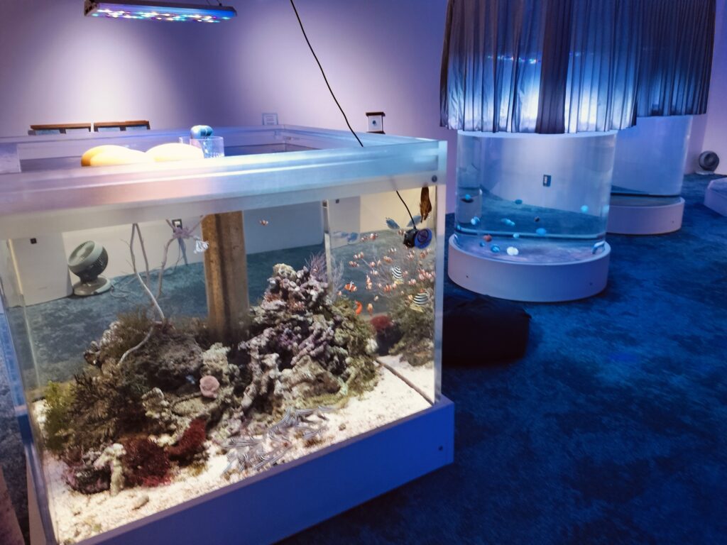 みなとやま水族館